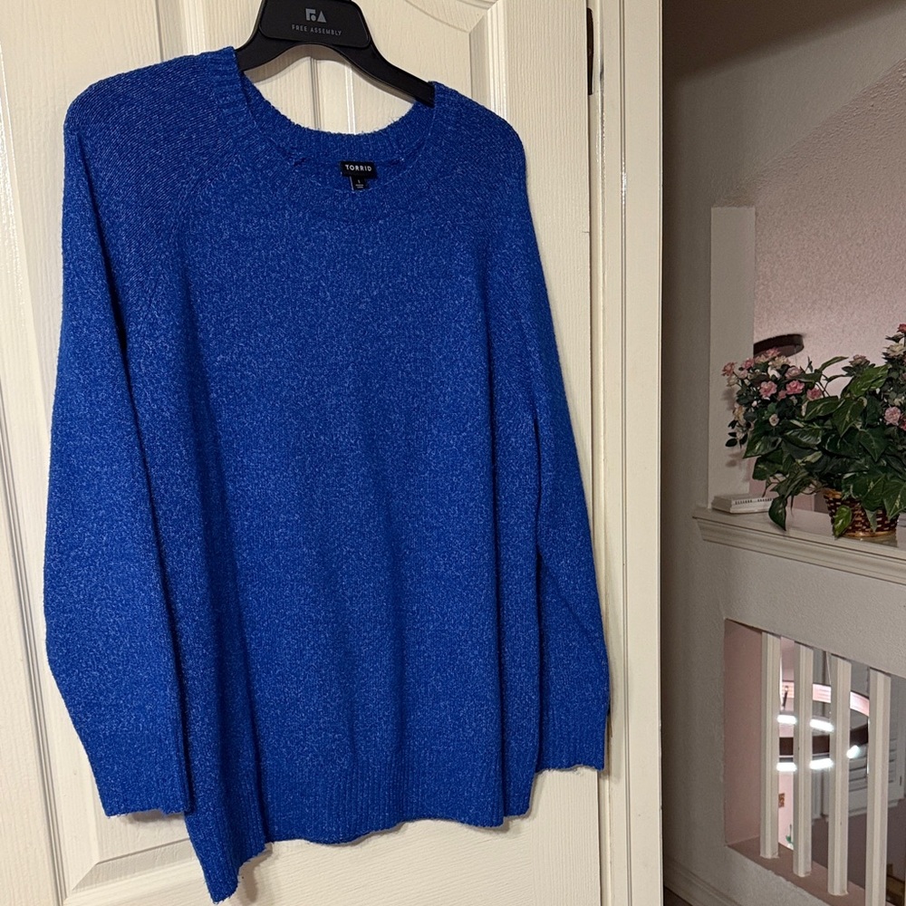 Torrid Crewneck Sweater